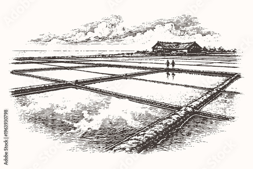 Vintage woodcut vector illustration of empty agricultural fields prepared for planting with traditional irrigation channels in a rural farm landscape.
