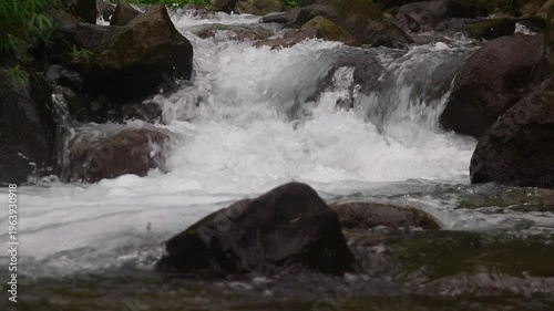 Clear river flow with refreshing scenery, showing crystal water, natural stones, and calming atmosphere in a serene tropical landscape
