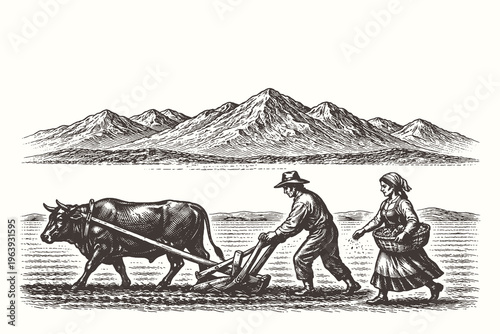 Authentic vintage engraving vector illustration of a farmer plowing a field with an ox and a woman sowing seeds against a majestic mountain backdrop.