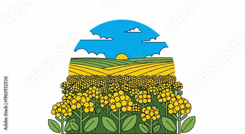 A stylized agricultural landscape with yellow flowers and rolling fields