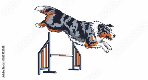 A tri-color dog leaps over an agility jump bar with a white background