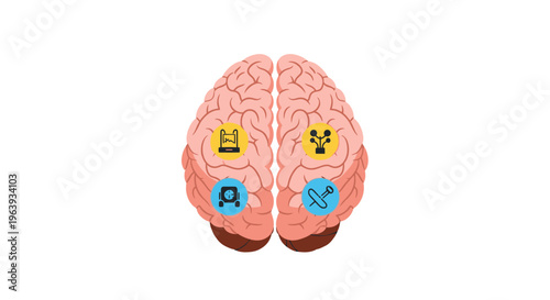 Human Brain Illustration with Medical and Technology Icons Representing Neuroscience, Cognitive Health, and Neuroengineering Research