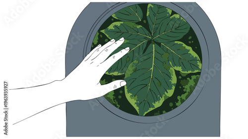 Caring for Indoor Plants: Hand Gently Touching Green Leaf in Pot, Home Gardening, Botanical