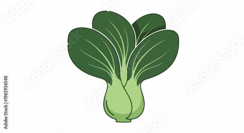 A stylized illustration of a single bok choy vegetable against a white background