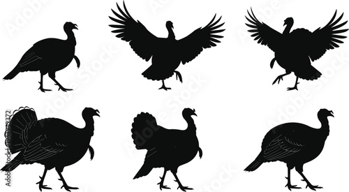 Black turkey silhouettes in various poses with wings spread and walking, wild bird shapes, Thanksgiving, nature wildlife, farm animals, festive season design