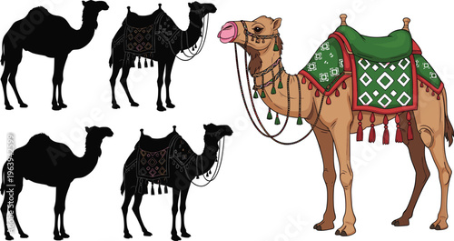 Camel Cartoon and Silhouette Set with Traditional Saddle Decoration Desert Animal Illustration for Travel, Culture, Tourism Design and Vector Collection