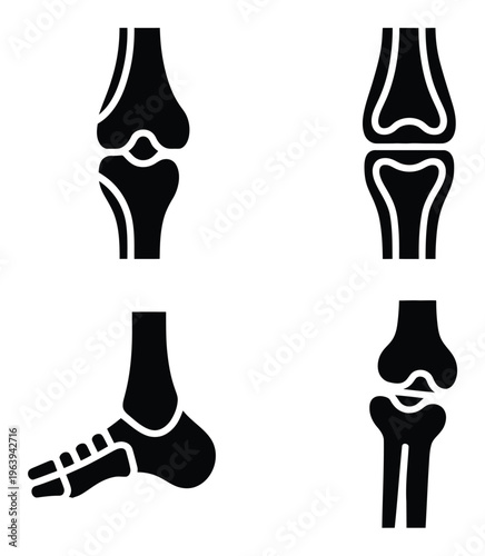 Stylized of Human Knee and Foot Joints
