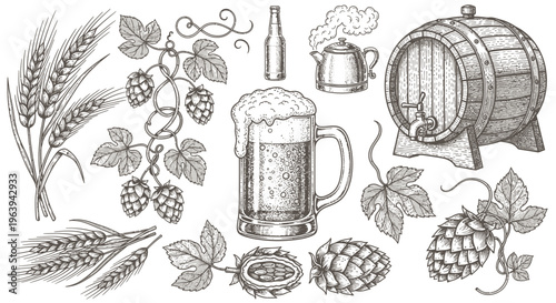 Hand Drawn Beer Brewing Elements Set with Hops Wheat and Barrel