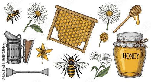 Hand Drawn Beekeeping and Honey Production Elements Set