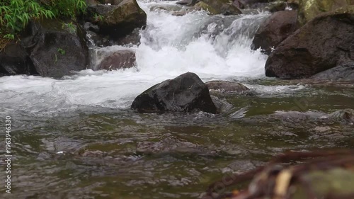 Clear river flow with refreshing scenery, showing crystal water, natural stones, and calming atmosphere in a serene tropical landscape