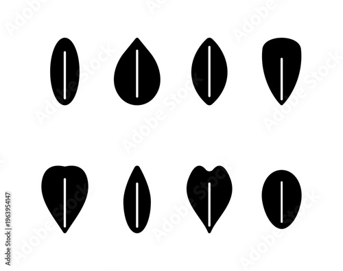 꽃잎 실루엣 아이콘 세트