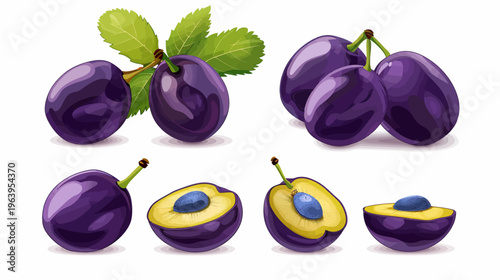 Cartoon-style plum illustration set featuring halved fruit and clusters with leaves