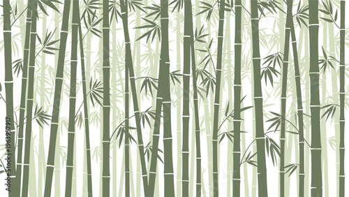 Dense forest of bamboo stalks shown in various shades of green creating a peaceful and natural pattern of tall stems and thin leaves.