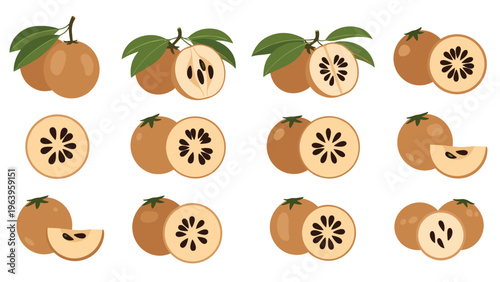 Assortment of twelve whole and sliced sapodilla fruits with green leaves in a flat design style for organic food labels and marketing.