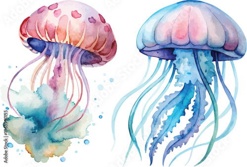 Watercolor Jellyfish, Ocean Wildlife Clipart, vector illustration isolated on white background