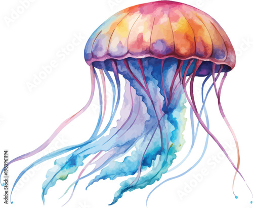 Watercolor Jellyfish Illustration, Ocean Wildlife Clipart, isolated on white background