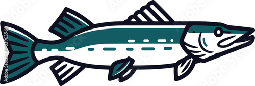 Pike Fish Vector Illustration with Detailed Freshwater Predator, Fishing Sport Concept, Aquatic Animal Design and Clean Line Art Style
