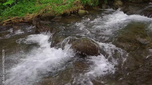 Clear river flow with refreshing scenery, showing crystal water, natural stones, and calming atmosphere in a serene tropical landscape