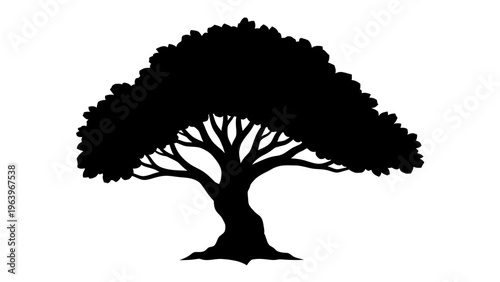 black silhouette of a tree on white background