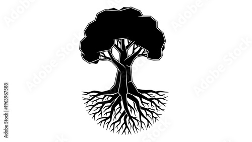 Black Silhouette of a Mature Tree with Intricate Root System