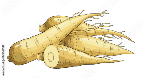 Rustic illustration of a pile of fresh parsnips, showcasing their creamy white, tapered roots, with one cut in half, on a white background.