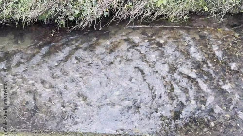 Flowing Stony Stream
