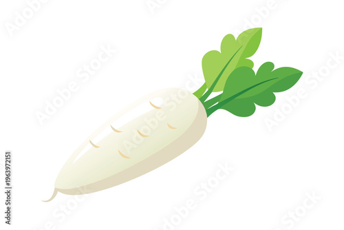 3d white radish vector illustration isolated on white background