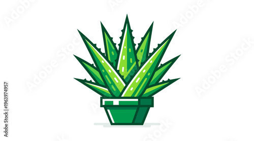 Aloe Vera Plant in Green Pot.