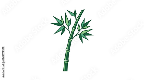 Bamboo plant with green leaves.