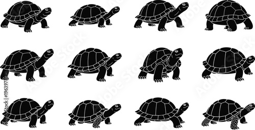 Set of twelve black turtle silhouettes in various poses.