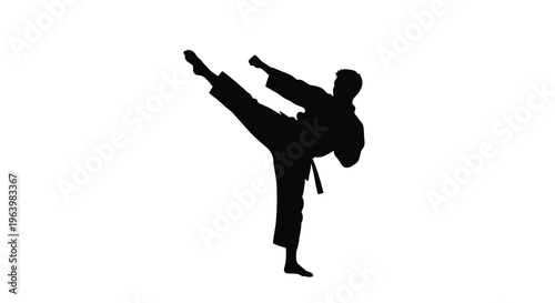 A silhouetted figure demonstrates a dynamic side kick showcasing martial arts skill and focused movement against a white background high quality