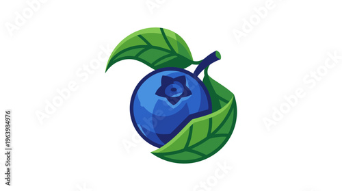 Blueberry Fruit with Green Leaves Illustration.