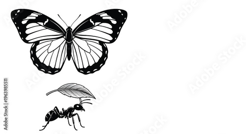 A butterfly and an ant are shown in a simple black and white illustration
