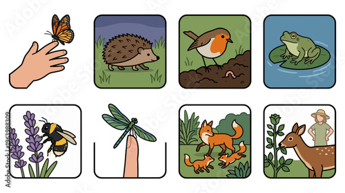 Collection of garden wildlife and nature conservation educational icons