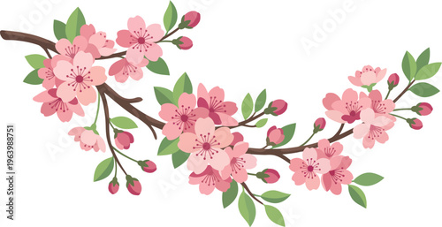 Cherry Blossom Branch Sakura Flower Spring Floral Vector Illustration