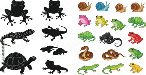 Large Collection of Reptile and Amphibian Vector Icons Featuring Frog Silhouettes, Colorful Lizards, Snakes, Snails, and Chameleons for Nature Education and Wildlife Graphic Design