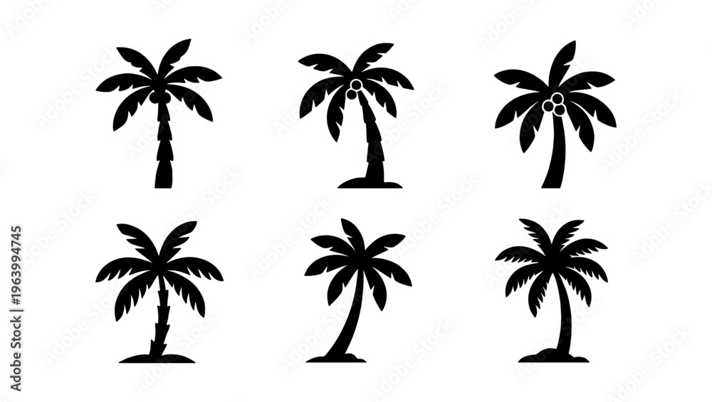 Fototapeta premium Black palm tree silhouettes set, tropical coconut tree vector icons, 6 minimalist summer beach plant elements for travel branding and vacation design