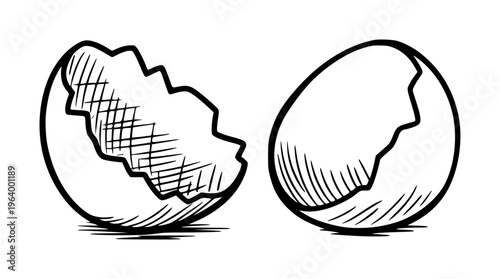 Hand drawn of broken eggshell halves white background cracked hatching