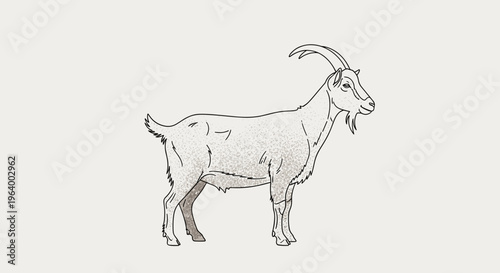 Simple Line Drawing of a Goat 1.