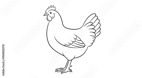 Simple Line Drawing of Chicken 1.