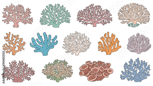 Large set of diverse colorful sea coral and sea anemones illustrations in various shapes and sizes on white background.