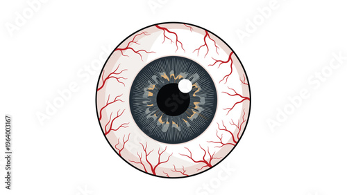Detailed illustration of human eyeball with blue iris and red blood vessels on white background for medical themes.