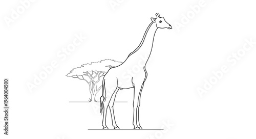 Simple Line Drawing of Giraffe.