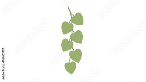 Vertical vine of green heart shaped leaves hanging down on a thin stem for natural decorative elements or botanical patterns.