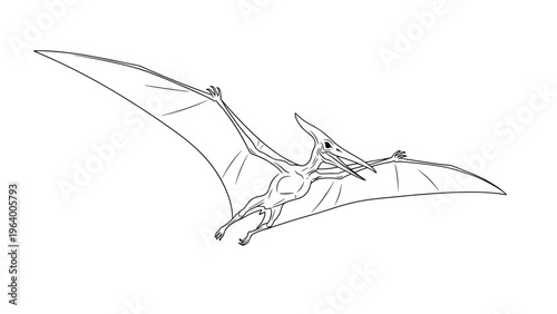Detailed line drawing of a prehistoric pterodactyl dinosaur flying with its large wings extended isolated on a white background.