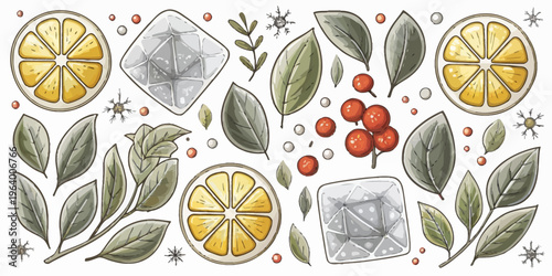 A colorful vector illustration of citrus fruits, leaves, and ice cubes on a white background