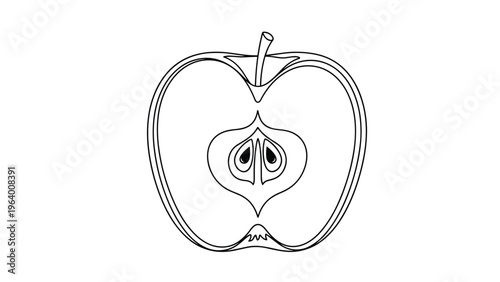 Simple black and white line drawing shows the cross section of an apple with its seeds and core clearly visible on white.