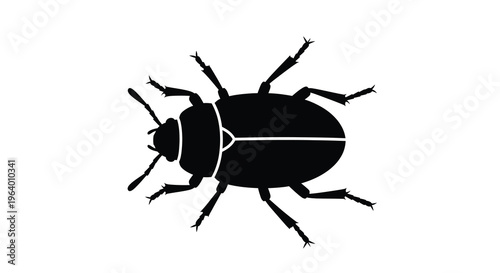 A stark black silhouette depicts a beetle from a top down perspective showcasing its segmented body and legs high quality professional