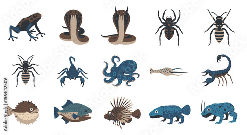 Collection of various sea creatures illustrations.