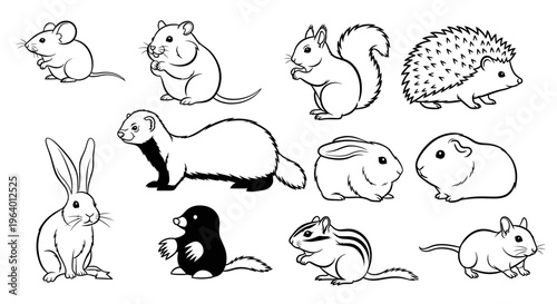 Collection of various small cute animals.